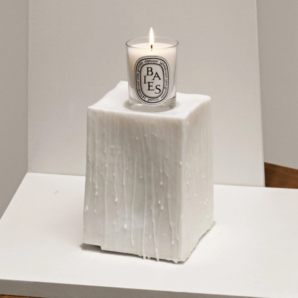 Diptyque 漿果香氛蠟燭 Baies/Berries Candle