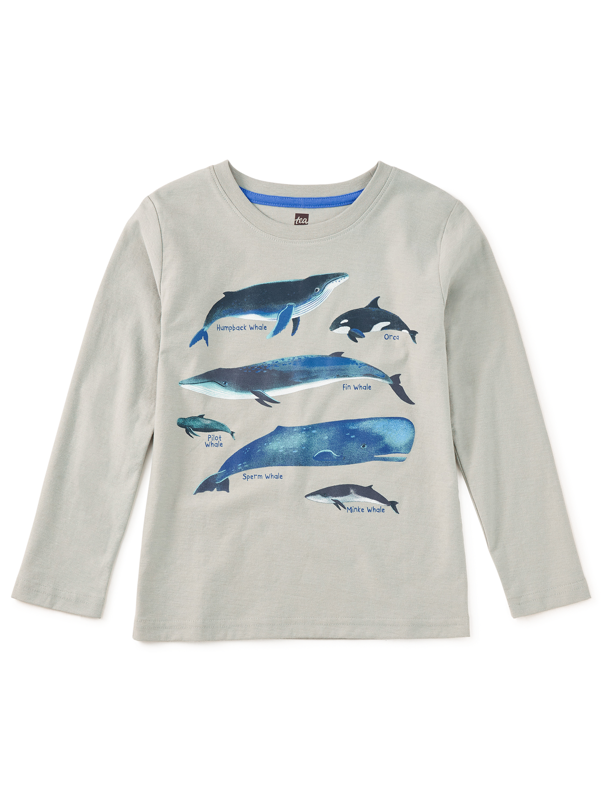 Whale Discovery Graphic Tee