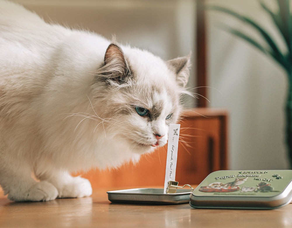 Optatum Paper Incense Cat Enjoy Set