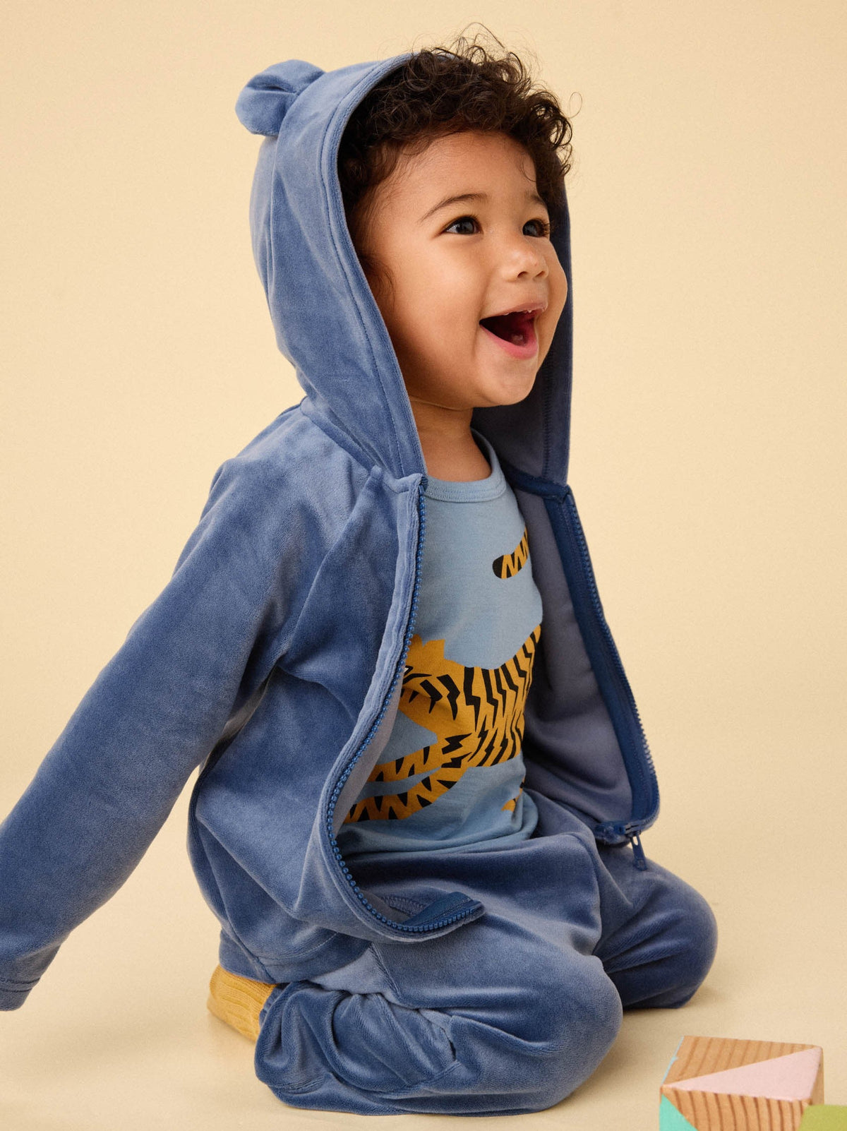 Bear Ears Velour Baby Hoodie