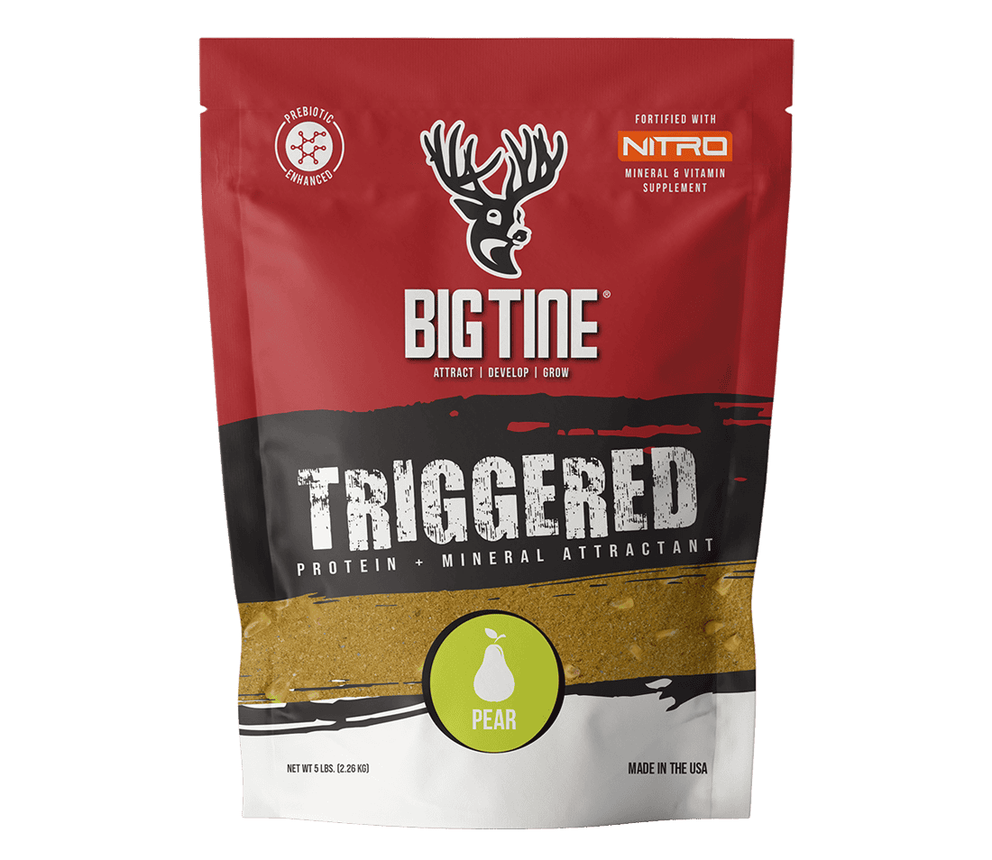 BIG TINE TRIGGERED PEAR
